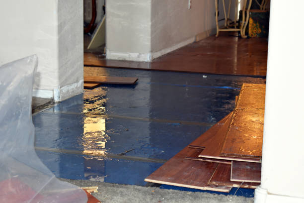 Professional Burst Pipe Cleanup technician working in Hastings-on-Hudson, NY